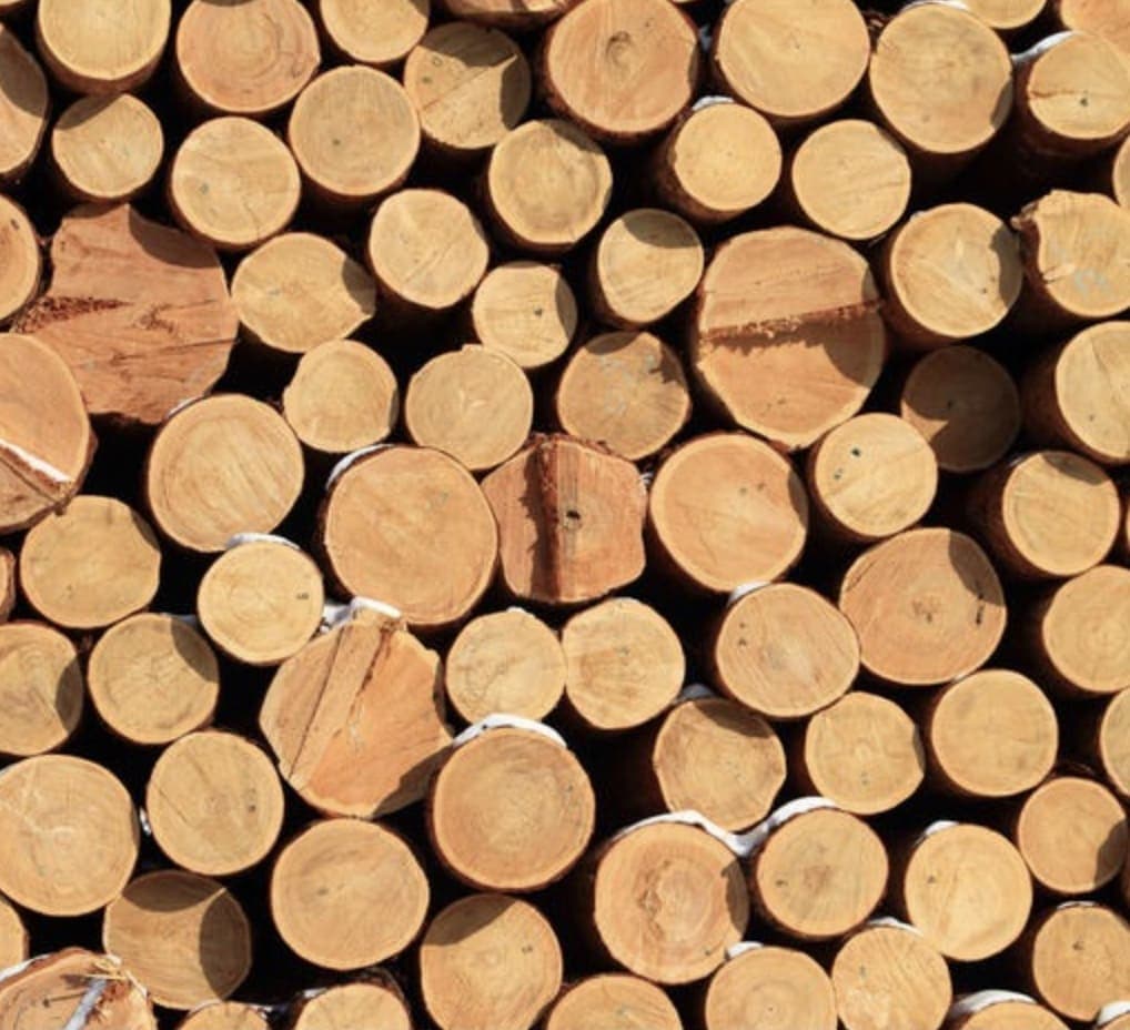 Logs